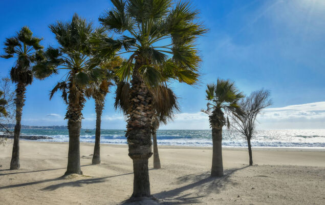 Golfe Horizon - Photo 25