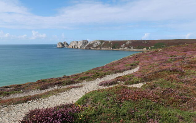 Ar Baradoz - Photo 32