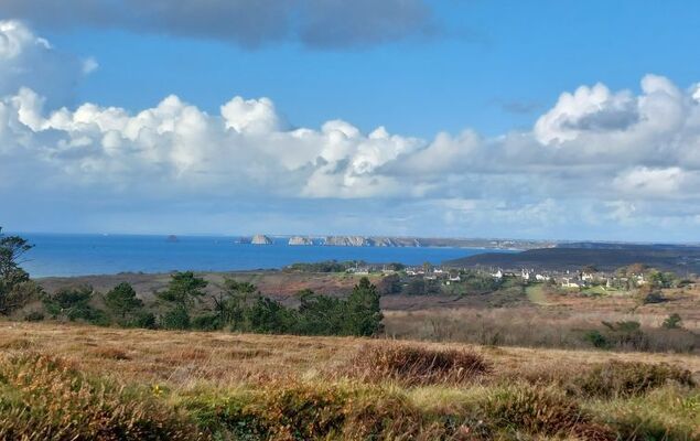 Ar Baradoz - Photo 36