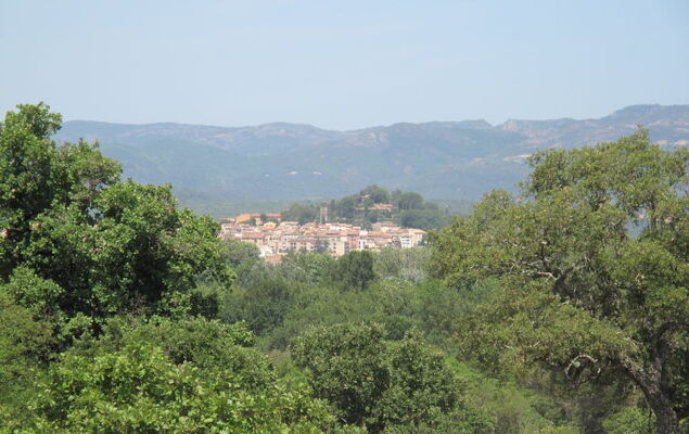 Le Clos du Mûrier - Photo 29