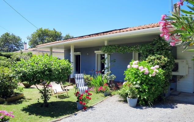 Mandarine - Photo 14