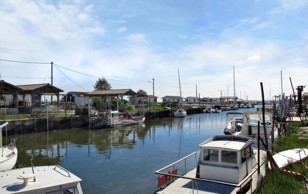 Mandarine - Photo 21