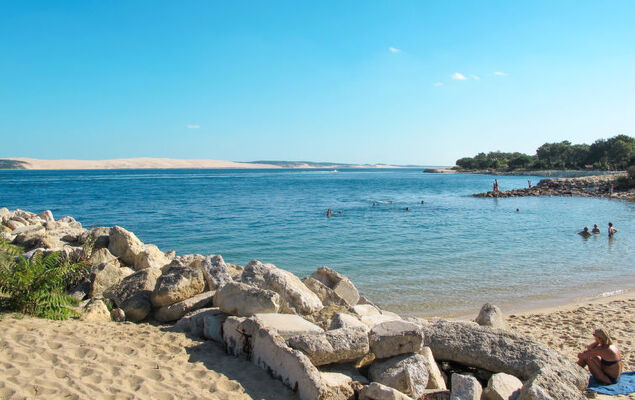 Mandarine - Photo 24