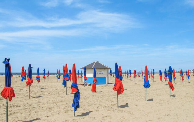 Les Roches - Photo 24