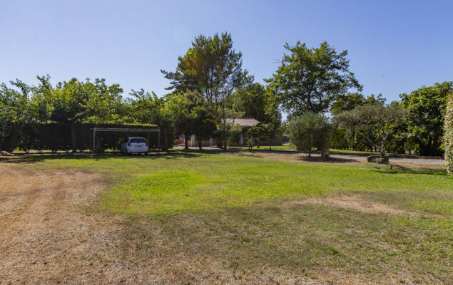 A l'Ombre du Soleil - Photo 25