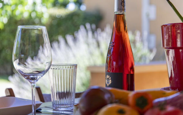 A l'Ombre du Soleil - Photo 36