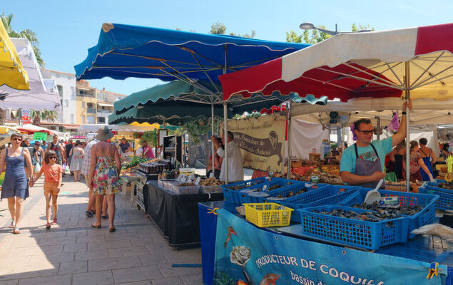 Bella Vista - Photo 23