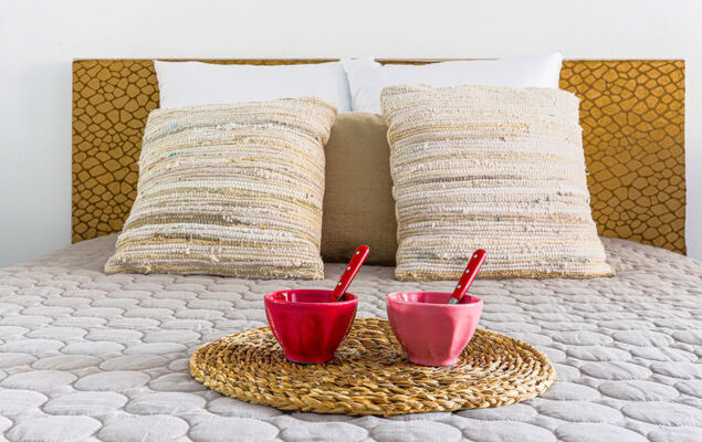 Le Carina - Photo 15