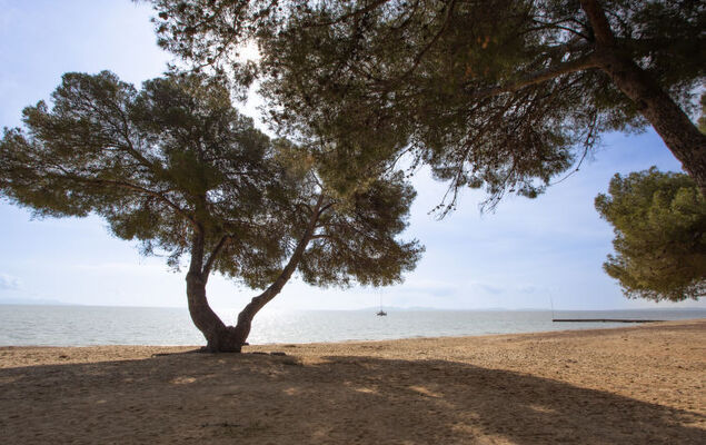 Lou Clapas - Photo 25