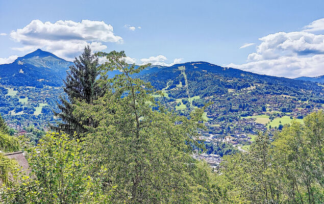 Chalet le Prarion - Photo 6