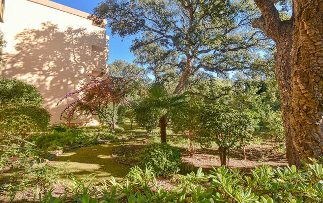 Le Capricorne - Photo 22