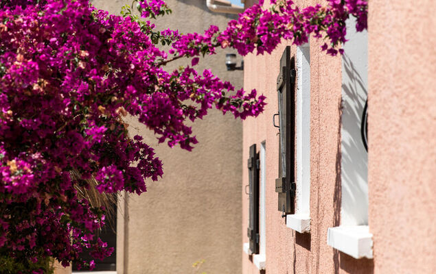 Studio Cabine - Photo 3